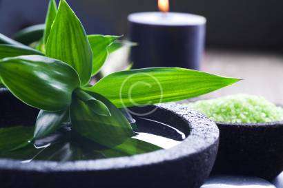 Kona Spa Services
